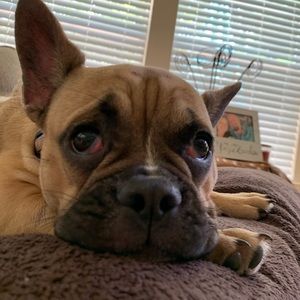 Meet your Posher, Katelyn